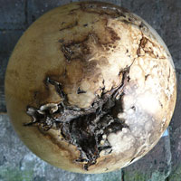 Houten bollen